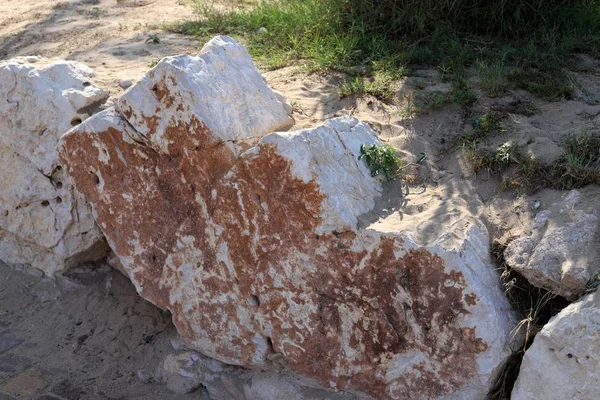 Piedras Encuentran Parque Ciudad Orillas Del Mar Mediterráneo Norte Israel —  Fotos de Stock