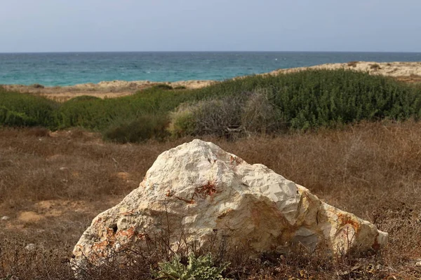 Stones Lie City Park Shores Mediterranean Sea North Israel — Stock Photo, Image