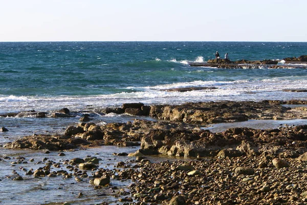 Stones Lie City Park Shores Mediterranean Sea North Israel — Stock Photo, Image