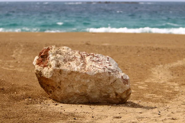 Piedras Encuentran Parque Ciudad Orillas Del Mar Mediterráneo Norte Israel — Foto de Stock