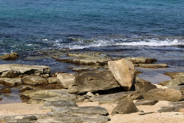 Stones Lie City Park Shores Mediterranean Sea North Israel — Stock Photo, Image