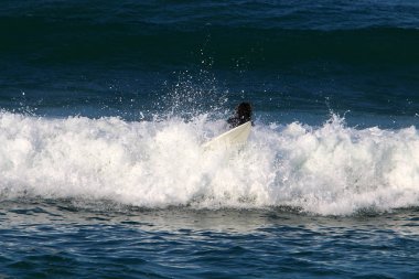 Sörf - Kuzey İsrail 'de Akdeniz' de özel spor tahtalarında dalgaların üzerinde sörf yapmak 