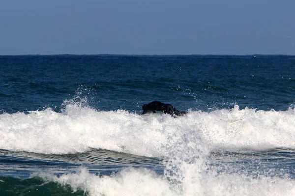 Surfen Surfen Golven Speciale Sportplanken Middellandse Zee Noord Israël — Stockfoto