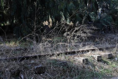 İsrail 'deki Hayfa ile Lübnan' daki Beyrut arasındaki terk edilmiş demiryolu hattı 