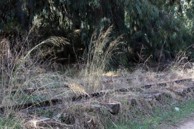 İsrail 'deki Hayfa ile Lübnan' daki Beyrut arasındaki terk edilmiş demiryolu hattı 