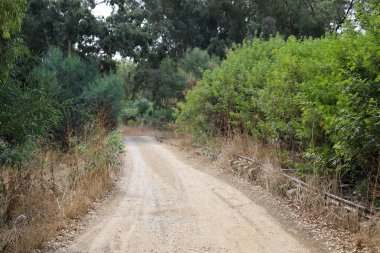 İsrail 'deki Hayfa ile Lübnan' daki Beyrut arasındaki terk edilmiş demiryolu hattı 