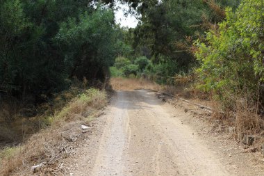 İsrail 'deki Hayfa ile Lübnan' daki Beyrut arasındaki terk edilmiş demiryolu hattı 