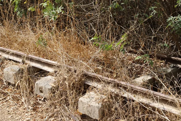 Línea Ferroviaria Abandonada Entre Haifa Israel Beirut Líbano — Foto de Stock