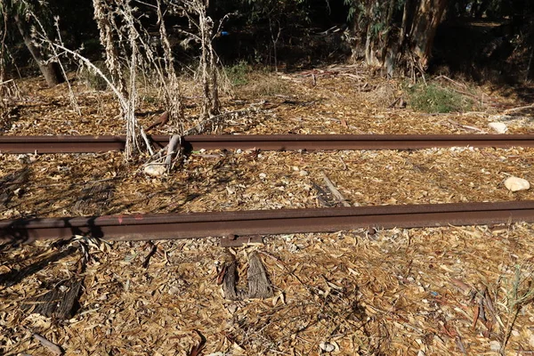 Linha Ferroviária Abandonada Entre Haifa Israel Beirute Líbano — Fotografia de Stock