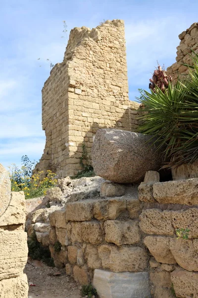 Caesarea Ancient City Ancient Port Built King Herod Shores Mediterranean — Stock Photo, Image