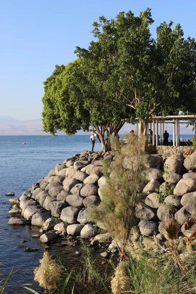 Shore Sea Galilee Israel — Stock Photo, Image