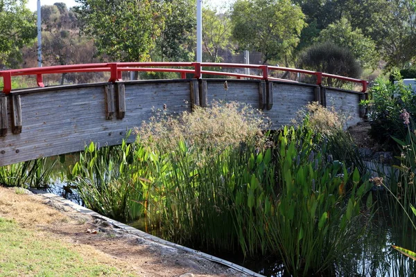 Brücke Einem Stadtpark Nordisrael — Stockfoto