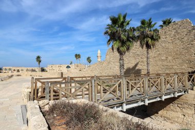 Kuzey İsrail 'de bir şehir parkında köprü  