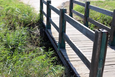 Kuzey İsrail 'de bir şehir parkında köprü  