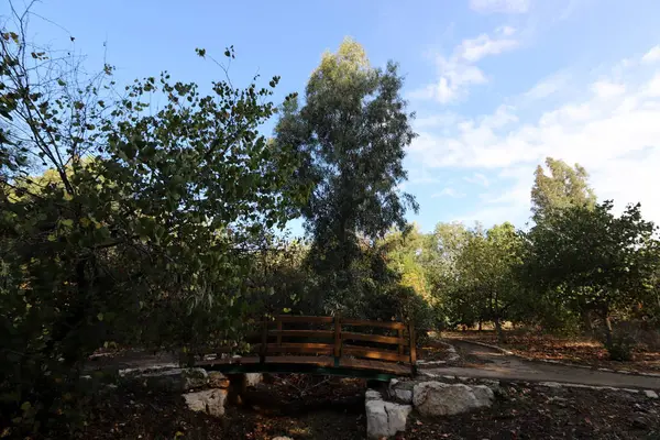 Bridge City Park Northern Israel — Stock Photo, Image