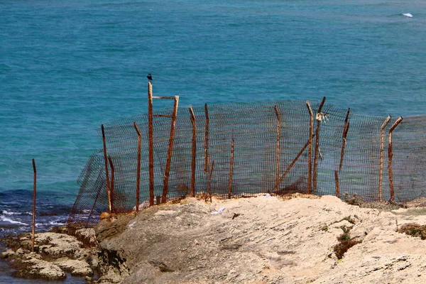 Recinzione Parco Cittadino Sulle Rive Del Mar Mediterraneo Nel Nord — Foto Stock