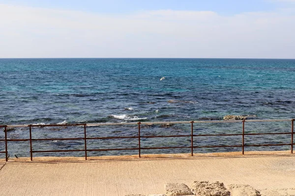 Clôture Dans Parc Urbain Bord Mer Méditerranée Dans Nord Israël — Photo