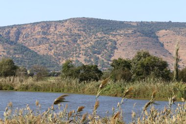 Hula Ulusal Kuş Sığınağı İsrail 'in kuzeyindeki Hula Vadisi' nde (Yukarı Celile) yer almaktadır. 