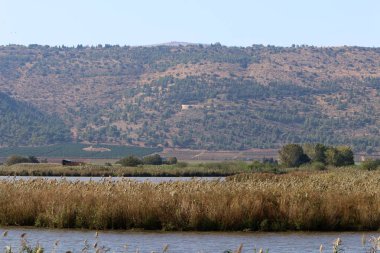 Hula Ulusal Kuş Sığınağı İsrail 'in kuzeyindeki Hula Vadisi' nde (Yukarı Celile) yer almaktadır. 