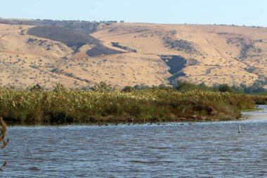 Hula Ulusal Kuş Sığınağı İsrail 'in kuzeyindeki Hula Vadisi' nde (Yukarı Celile) yer almaktadır. 