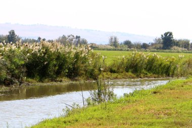 Hula Ulusal Kuş Sığınağı İsrail 'in kuzeyindeki Hula Vadisi' nde (Yukarı Celile) yer almaktadır. 