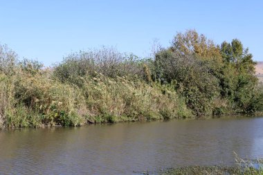 Hula Ulusal Kuş Sığınağı İsrail 'in kuzeyindeki Hula Vadisi' nde (Yukarı Celile) yer almaktadır. 