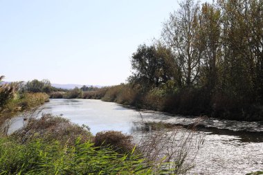 Hula Ulusal Kuş Sığınağı İsrail 'in kuzeyindeki Hula Vadisi' nde (Yukarı Celile) yer almaktadır. 