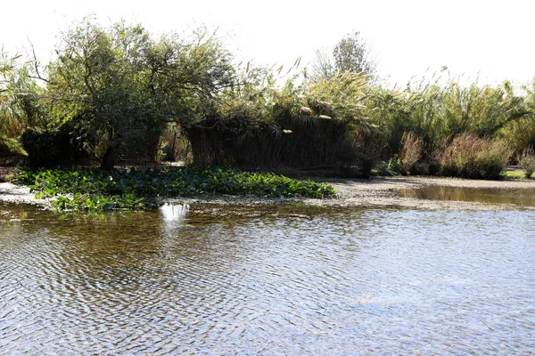 Hula Ulusal Kuş Sığınağı İsrail 'in kuzeyindeki Hula Vadisi' nde (Yukarı Celile) yer almaktadır. 