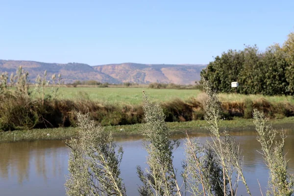 Hula National Bird Sanctuary Located Hula Valley Upper Galilee North — Stock Photo, Image