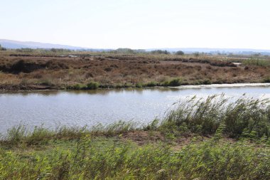 Hula Ulusal Kuş Sığınağı İsrail 'in kuzeyindeki Hula Vadisi' nde (Yukarı Celile) yer almaktadır. 