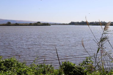 Hula Ulusal Kuş Sığınağı İsrail 'in kuzeyindeki Hula Vadisi' nde (Yukarı Celile) yer almaktadır. 