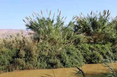 Hula Ulusal Kuş Sığınağı İsrail 'in kuzeyindeki Hula Vadisi' nde (Yukarı Celile) yer almaktadır. 