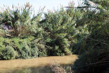 Hula Ulusal Kuş Sığınağı İsrail 'in kuzeyindeki Hula Vadisi' nde (Yukarı Celile) yer almaktadır. 