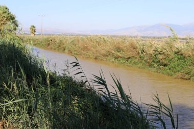 Hula Ulusal Kuş Sığınağı İsrail 'in kuzeyindeki Hula Vadisi' nde (Yukarı Celile) yer almaktadır. 