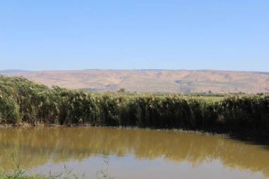 Hula Ulusal Kuş Sığınağı İsrail 'in kuzeyindeki Hula Vadisi' nde (Yukarı Celile) yer almaktadır. 