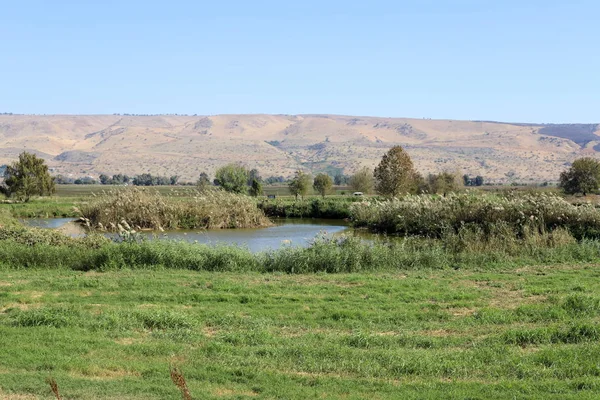Hula Ulusal Kuş Sığınağı İsrail 'in kuzeyindeki Hula Vadisi' nde (Yukarı Celile) yer almaktadır. 