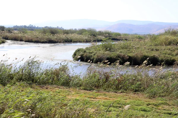 Hula Εθνικό Καταφύγιο Πουλιών Βρίσκεται Στην Κοιλάδα Hula Άνω Γαλιλαία — Φωτογραφία Αρχείου