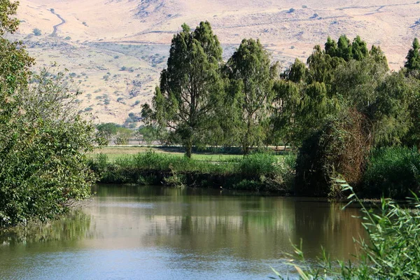 Santuario Nacional Aves Hula Encuentra Valle Del Hula Alta Galilea — Foto de Stock