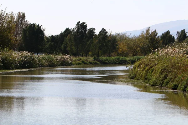 Hula Εθνικό Καταφύγιο Πουλιών Βρίσκεται Στην Κοιλάδα Hula Άνω Γαλιλαία — Φωτογραφία Αρχείου