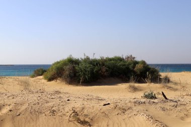 İsrail 'in kuzeyindeki Akdeniz' in ıssız ve terk edilmiş kıyıları. 