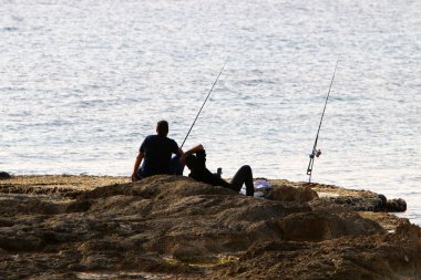 İsrail 'in kuzeyindeki Akdeniz' in ıssız ve terk edilmiş kıyıları. 