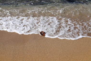 İsrail 'in kuzeyindeki Akdeniz' in ıssız ve terk edilmiş kıyıları. 