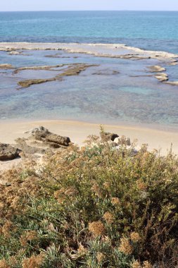 İsrail 'in kuzeyindeki Akdeniz' in ıssız ve terk edilmiş kıyıları. 