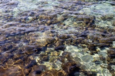İsrail 'in kuzeyindeki Akdeniz' in ıssız ve terk edilmiş kıyıları. 