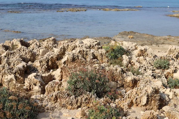 Costa Deserta Deserta Del Mar Mediterraneo Nel Nord Israele — Foto Stock