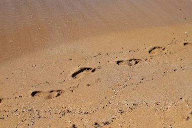 İsrail'in kuzeyinde Akdeniz kıyılarında kum ayak izleri 