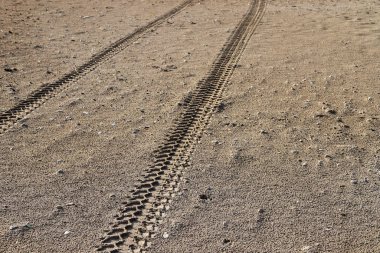 İsrail'in kuzeyinde Akdeniz kıyılarında kum ayak izleri 
