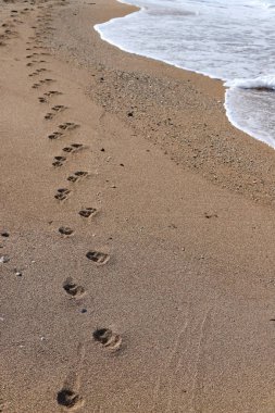 İsrail'in kuzeyinde Akdeniz kıyılarında kum ayak izleri 