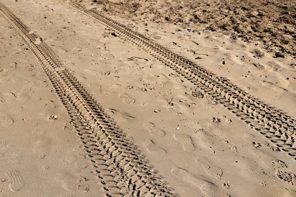 在以色列北部地中海沿岸的沙滩上留下脚印 — 图库照片