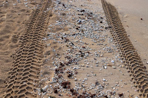 Voetafdrukken Het Zand Aan Oevers Van Middellandse Zee Het Noorden — Stockfoto